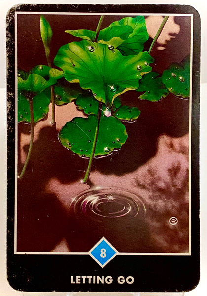 LETTING GO 手放し OSHO禅タロット 3695日目 曇天ウォーキング 20250812