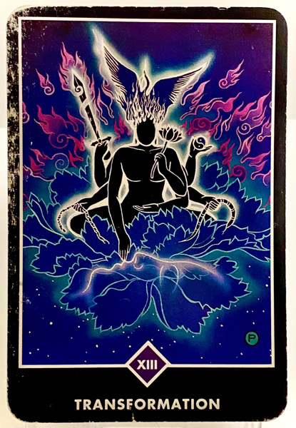 TRANSFORMATION 変容 OSHO禅タロット 3703日目 朝陽ウォーキング 20250820