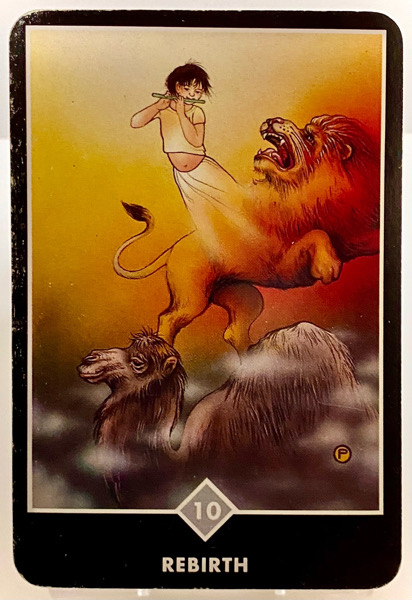 REBIRTH 再誕生 OSHO禅タロット 3736日目 朝陽ウォーキング 20250922