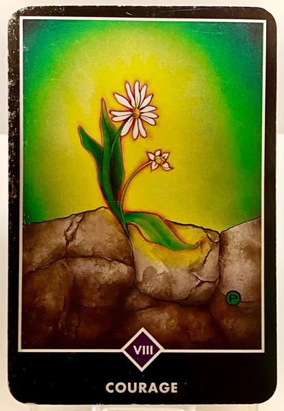 COURAGE 勇気 OSHO禅タロット 3754日目 曇天ウォーキング 20251010