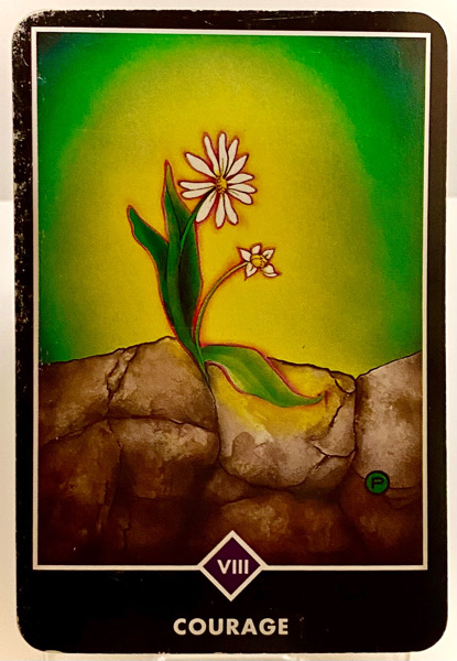 COURAGE 勇気 OSHO禅タロット 3755日目 夜明け前ウォーキング 20251011