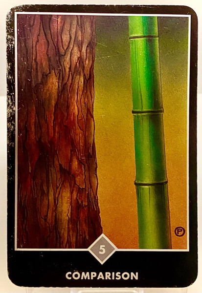 COMPARISON 比較 OSHO禅タロット 3785日目 朝陽ウォーキング 20251110