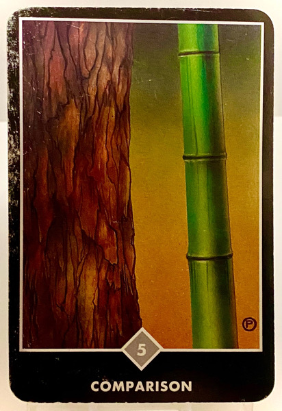 COMPARISON 比較 OSHO禅タロット 3791日目 夜明け前ウォーキング 20251116