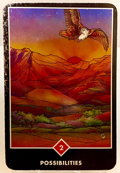 POSSIBILITIES 可能性 OSHO禅タロット 3800日目 夜明け前ウォーキング 20251125