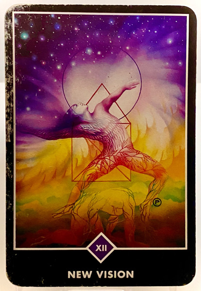 NEW VISION 新しいビジョン OSHO禅タロット 3804日目 夜明け前ウォーキング 20251129