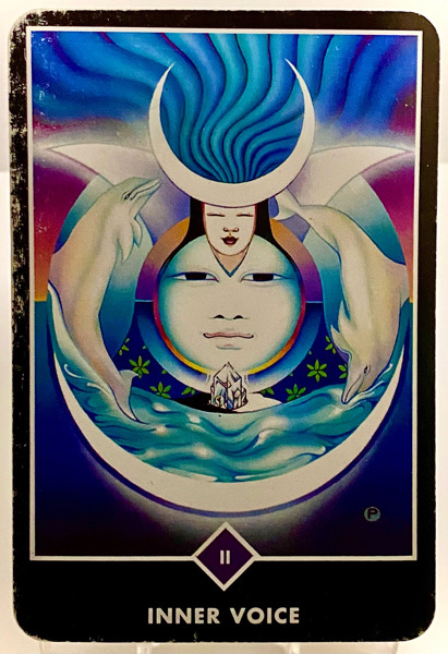 INNER VOICE 内なる声 OSHO禅タロット 3821日目 曇天ウォーキング 20251216