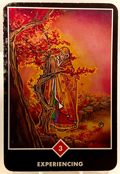 EXPERIENCING 体験している OSHO禅タロット 3822日目 朝陽ウォーキング 20251217