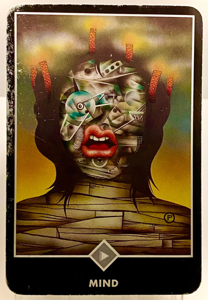 MIND マインド 心 OSHO禅タロット 3824日目 曇天ウォーキング 20251219