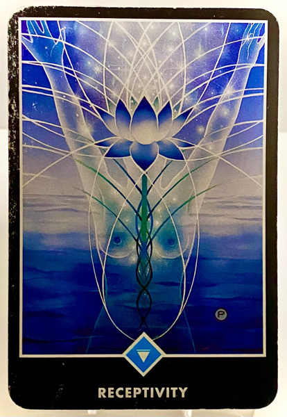 RECEPTIVITY 受容性 OSHO禅タロット 3825日目 夜明け前ウォーキング 20251220