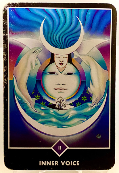 INNER VOICE 内なる声 OSHO禅タロット 3829日目 曇天ウォーキング 20251224