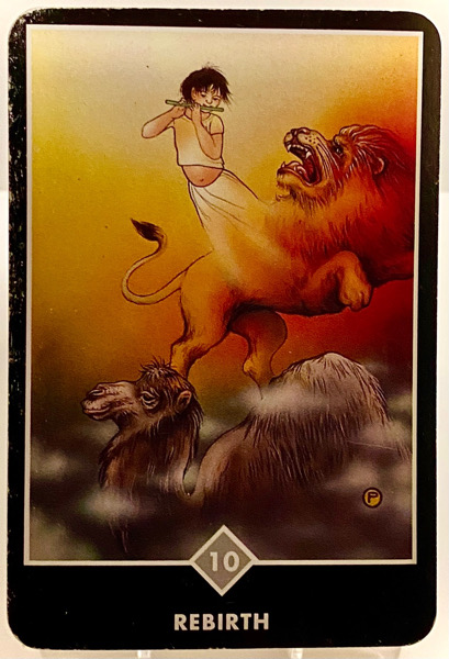 REBIRTH 再誕生 OSHO禅タロット 3842日目 朝陽ウォーキング 20260106