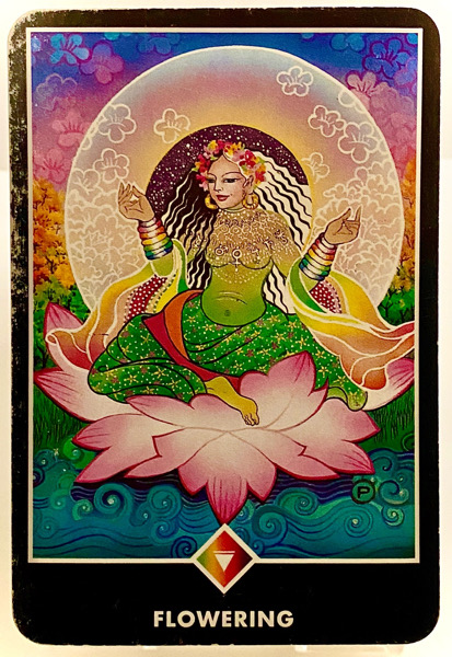 FLOWERING 開花 OSHO禅タロット 3843日目 降雪曇天ウォーキング 20260107