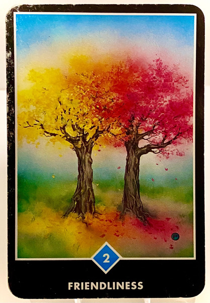 FRIENDLINESS 親しさ OSHO禅タロット 3844日目 朝陽ウォーキング 20260108