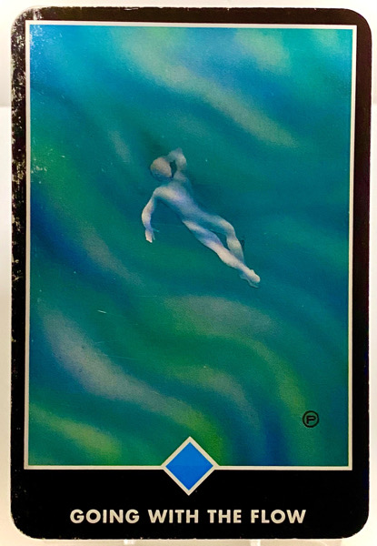 GOING WITH THE FLOW 流れと共に行く OSHO禅タロット 3846日目 夜明け前ウォーキング 20260110