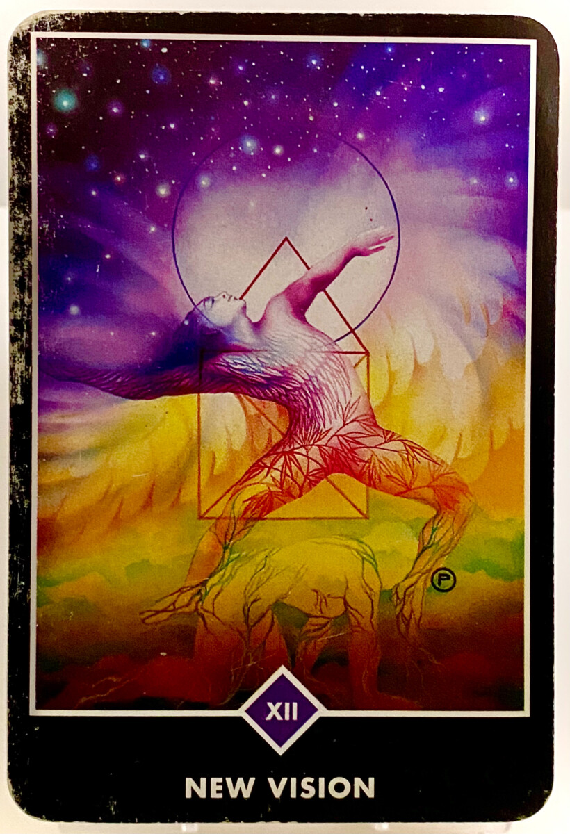 NEW VISION 新しいビジョン OSHO禅タロット 3849日目 朝陽ウォーキング 20260113