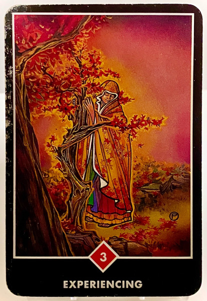 EXPERIENCING 体験している OSHO禅タロット 3850日目 日の出前ウォーキング 20260114