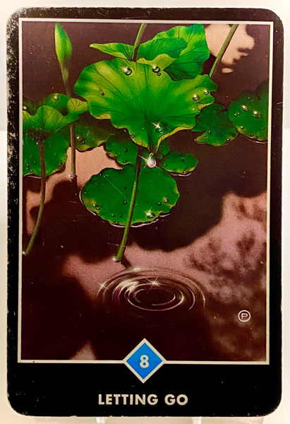 LETTING GO 手放し OSHO禅タロット 3851日目 日の出前ウォーキング 20260115