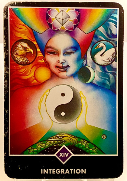 INTEGRATION 統合 OSHO禅タロット 3854日目 夜明け前ウォーキング 20260118