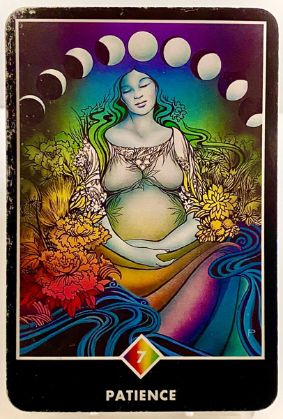 PATIENCE 忍耐 OSHO禅タロット 3855日目 曇天ウォーキング 20260119