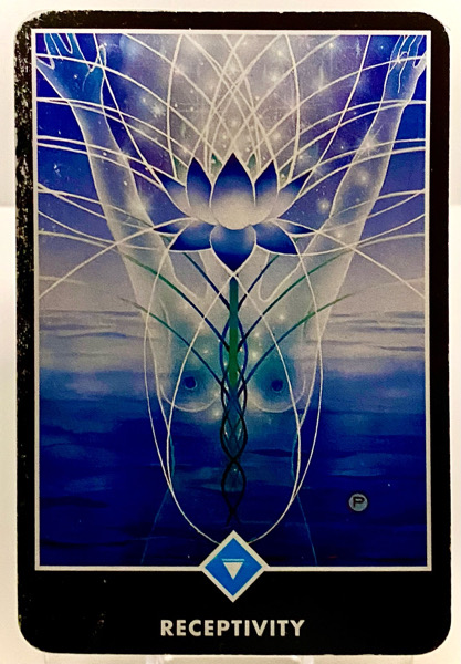 RECEPTIVITY 受容性 OSHO禅タロット 3862日目 朝陽ウォーキング 20260126