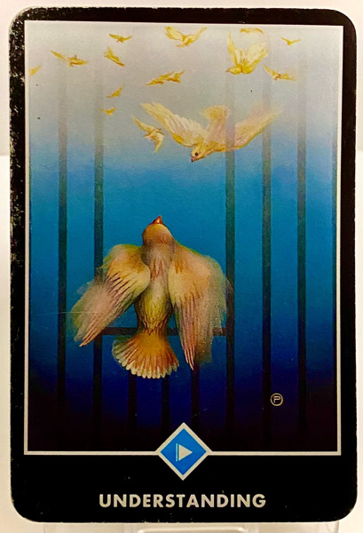 UNDERSTANDING 理解 OSHO禅タロット 3864日目 朝陽ウォーキング 20260128