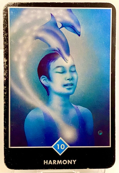 HARMONY ハーモニー OSHO禅タロット 3869日目 曇天ウォーキング 20260202