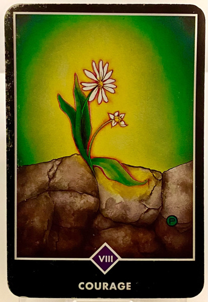 COURAGE 勇気 OSHO禅タロット 3877日目 朝陽ウォーキング 20260210