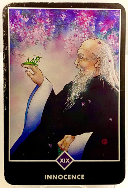 INNOCENCE 無垢 OSHO禅タロット 3878日目 朝陽ウォーキング 20260211