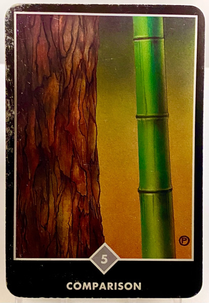 COMPARISON 比較 OSHO禅タロット 3884日目 夜明け前 雨中ウォーキング 20260217