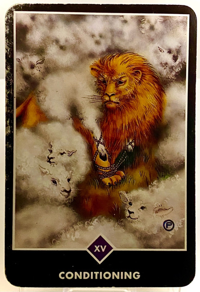 CONDITIONING 条件付け OSHO禅タロット 3889日目 夜明け前ウォーキング 20260222