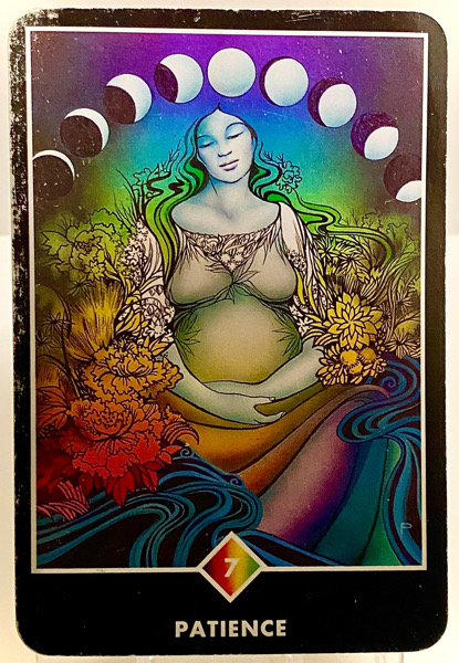 PATIENCE 忍耐 OSHO禅タロット 3892日目 雨中ウォーキング 20260225