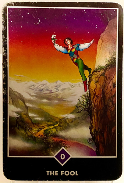 THE FOOL 愚者 OSHO禅タロット 3893日目 曇天ウォーキング 20260226