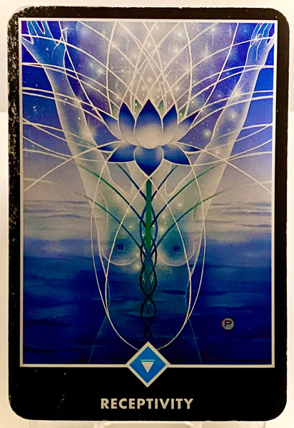 RECEPTIVITY 受容性 OSHO禅タロット 3894日目 曇天ウォーキング 20260227