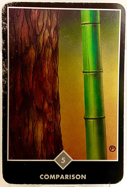 COMPARISON 比較 OSHO禅タロット 3895日目 夜明け前ウォーキング 20260228