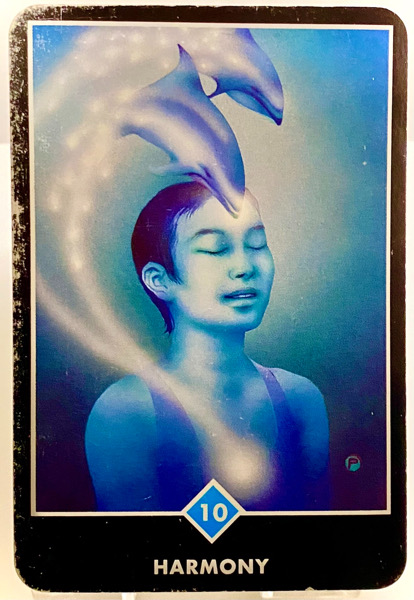 HARMONY ハーモニー OSHO禅タロット 3907日目 朝陽ウォーキング 20260312