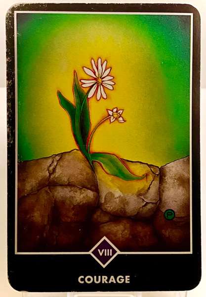 COURAGE 勇気 OSHO禅タロット 3911日目 曇天ウォーキング 20260316