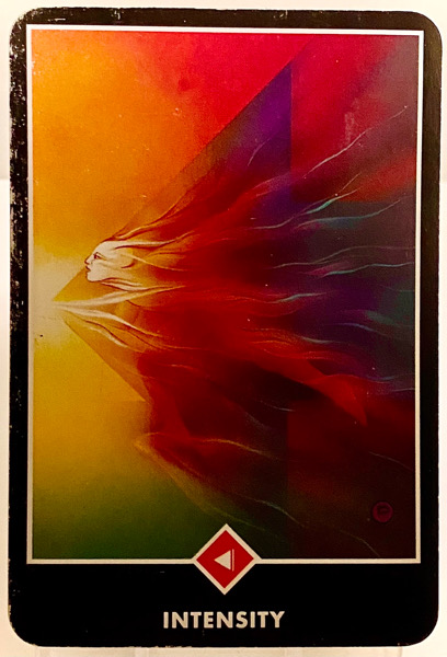 INTENSITY 激しさ OSHO禅タロット 3915日目 夜明け前ウォーキング 20260320