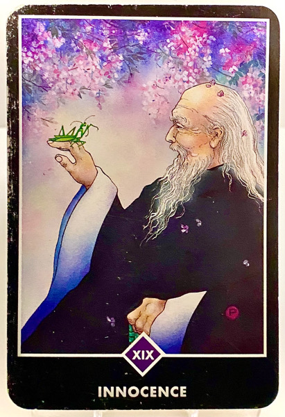 INNOCENCE 無垢 OSHO禅タロット 3919日目 朝陽ウォーキング 20260324