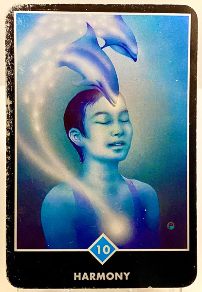 HARMONY ハーモニー OSHO禅タロット 3921日目 雨中ウォーキング 20260326