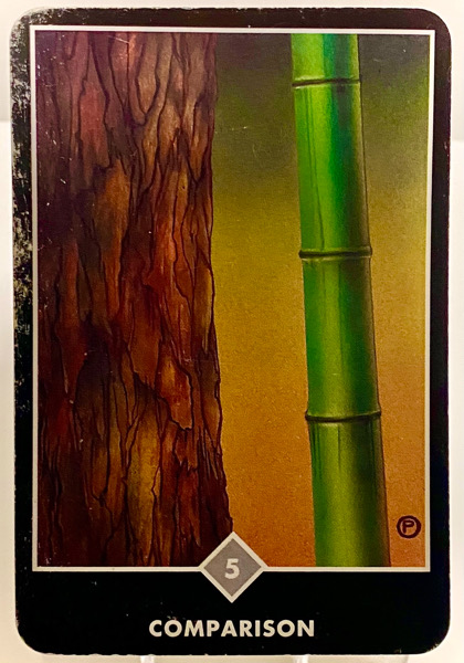 COMPARISON 比較 OSHO禅タロット 3927日目 雨中ウォーキング 20260401