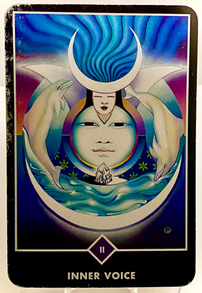 INNER VOICE 内なる声 OSHO禅タロット 3928日目 雨中ウォーキング 20260402