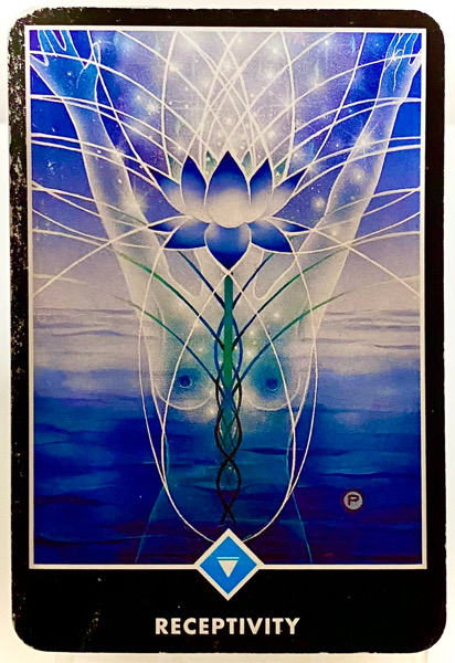 RECEPTIVITY 受容性 OSHO禅タロット 3933日目 曇天ウォーキング 20260407