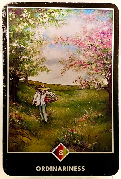 ORDINARINESS 普通であること OSHO禅タロット 3937日目 朝陽ウォーキング 20260411